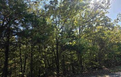 1007 E Wisconsin Avenue, Horseshoe Bend, AR 72512