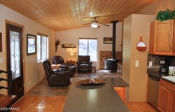 6384 W JAN Drive, Pine, AZ 85544