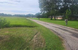 CR 2136, Pittsburg, TX 75686