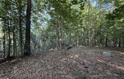 1982 Walnut Grove Road, Columbia, KY 42728