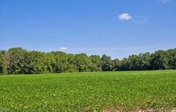 2 Nc Highway 33, Tarboro, NC 27886