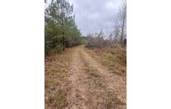 Buckatunna, MS 39322