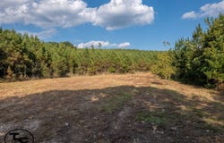 3392 Sand Mountain Rd, Enville, TN 38332