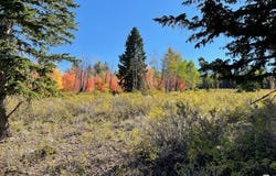78 PLAT D, SOLDIER SUMMIT ESTATES Dr, Spanish Fork, UT 84660