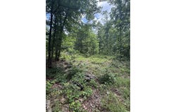 4650 Edgemont Road, Quitman, AR 72131