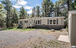 8220 Maple Dr, Rye, CO 81069