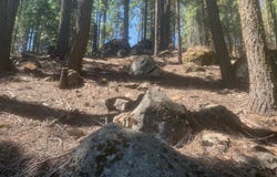 148 Slim Drive, Chester, CA 96020