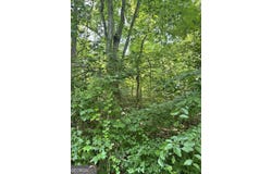 1469 Lakeside Trail, Martin, GA 30557
