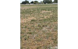 136 N 4139 E, Rigby, ID 83442