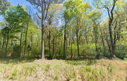Hempstead 335, Nashville, AR 71852