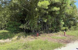 175 Dove Rd., Loris, SC 29569