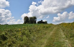 Beechy Creek Road, Wallingford, KY 41093