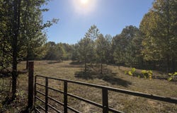200 Bowman Loop, Beech Bluff, TN 38313