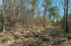D-4-A Stella Ln, Walker, LA 70785