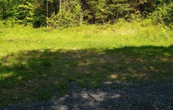 Beaver Meadow Road, Roxbury, VT 05669