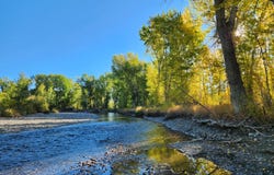 Bartlett Point Rd., Mackay, ID 83251