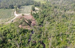 Mills Ln. Tract A, Pearson, GA 31642
