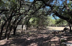 279 CR 2440, Iredell, TX 76649