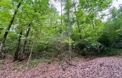 1317 Sunhill Road, Birmingham, AL 35215