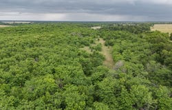 Tract 9 County Road 2158, Cooper, TX 75432