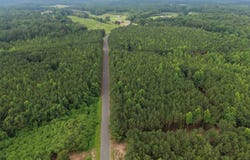 county road 62, Bremen, AL 35033