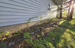 N38965 County Rd W, Whitehall, WI 54773