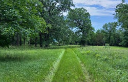N 4220, No City, OK 74536