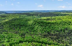 L1.6 Crystal Brook Path, Jefferson, NY 12093