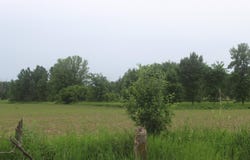 TBD-1 120th Avenue, Ogilvie, MN 56358
