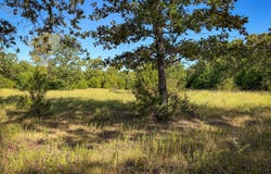 6725 E Windy Ln, Atoka, OK 74525