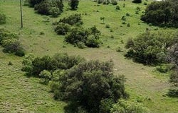 23 Mystic Mountain Drive, Gustine, TX 76455