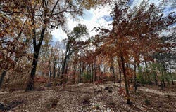 County Rd 308, Forrest City, AR 72335