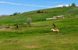 Beaver Creek Road, Sheridan, WY 82801