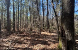 John Owen Road, White Oak, NC 28399