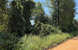 Anderson Drive, Alford, FL 32420