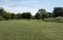 4652 County Road 69, Reeds, MO 64859