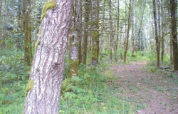 Old Rainier Rd, Rainier, OR 97048