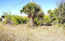 142 SUNNY Way, ROTONDA WEST, FL 33947