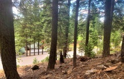148 Slim Drive, Chester, CA 96020
