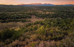 Silvermine Drive, Durango, CO 81303