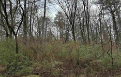 100 PLEASANT VALLEY DRIVE lot: 1, BIRMINGHAM, AL 35217