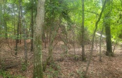 1429 Casey Creek rd, Chesnee, SC 29323