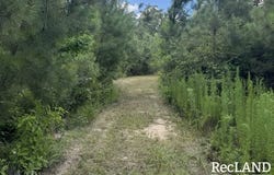 off Spillers Rd, Chatham, LA 71226