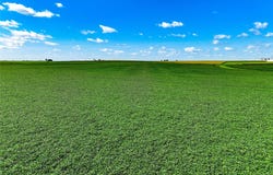 P Avenue, IA 50655