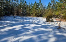 Tabscott Rd, Kents Store, VA 23084
