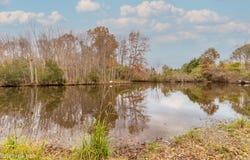 122 Montpelier Drive, Edenton, NC 27932