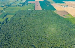 County Road 307, Advance, MO 63730