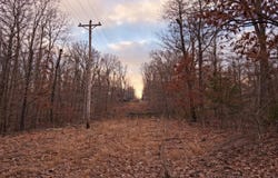 Acres Road, Williford, AR 72482