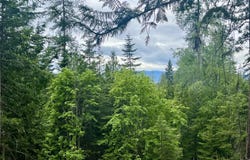 191 Sunset View Ln, Hope, ID 83836