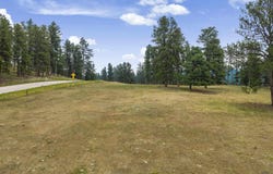 TBD PINK CABIN RD, Hill City, SD 57745